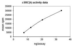 Eurofins DiscoverX Src Protein, Active 10 &mu;g | Buy Online | Eurofins DiscoverX | Fisher Scientific